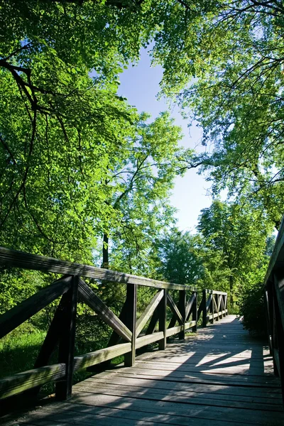 夏の緑豊かな公園を橋します。 — ストック写真