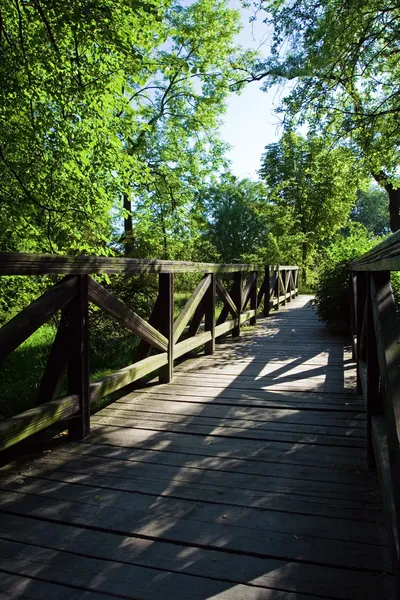 Yeşil park köprü — Stok fotoğraf