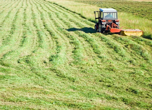Трактор работает на ферме летом — стоковое фото
