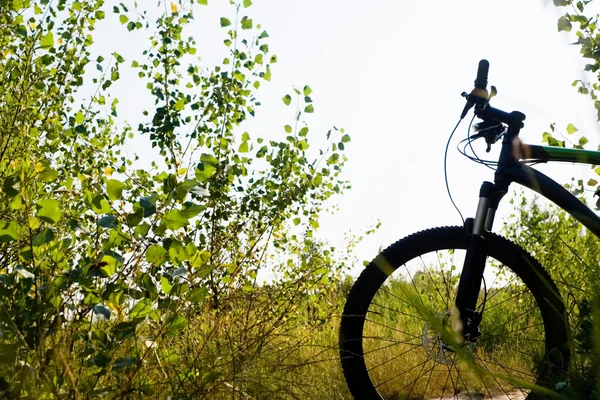 Silueta de bicicleta de montaña — Foto de Stock