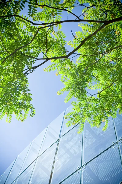 Green business and office building — Stock Photo, Image