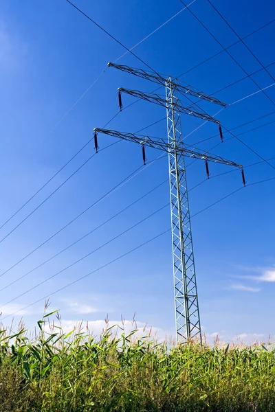 stock image Power lines over blue sky in summer