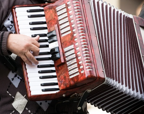 Straat muzikant speelt accordeon — Stockfoto