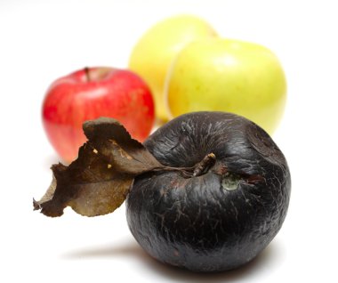 Rotten apple at the row of fresh apples clipart