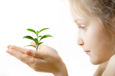 Child holding a sprout clipart