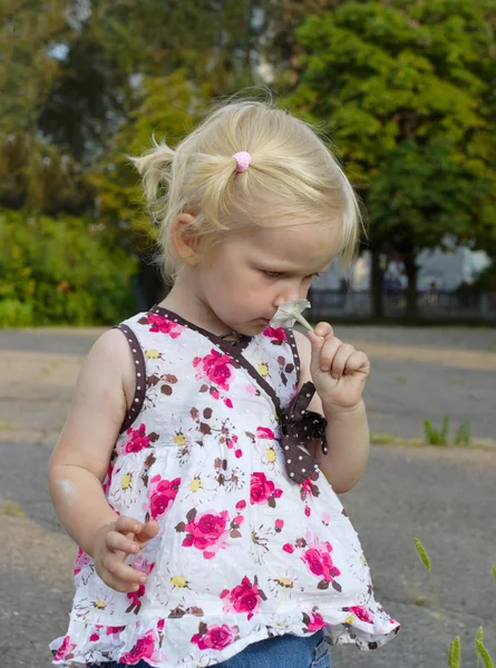 Little girl with flower — Stock Photo, Image