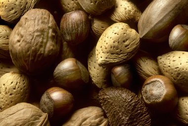 Variety of tree nuts clipart