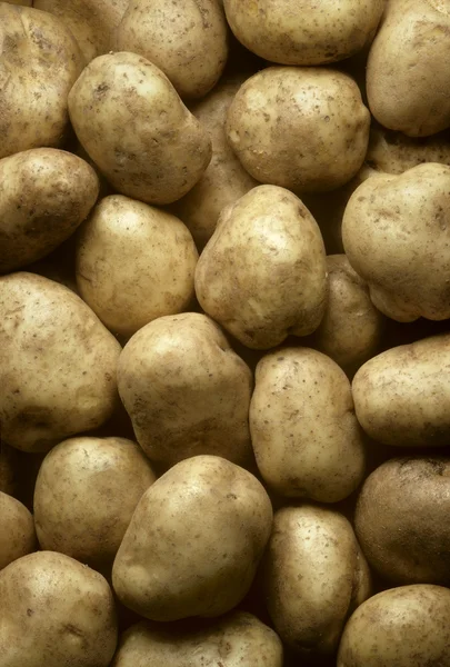 Potatoes filling frame — Stock Photo, Image