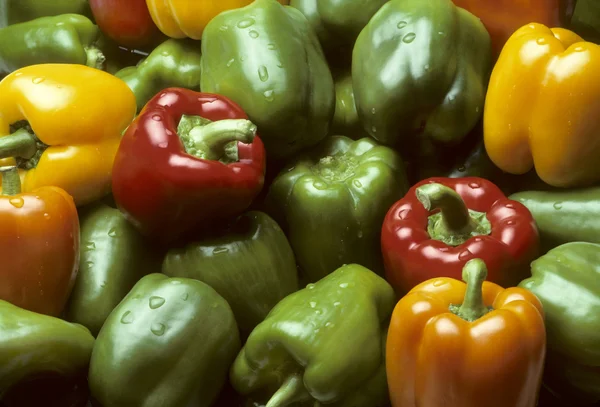 Stock image Bell peppers of various colors