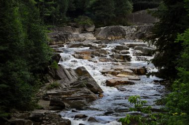 White Water in an Adirondack Stream clipart