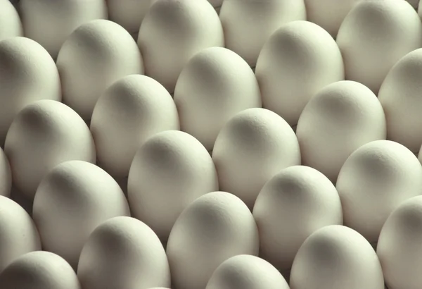 Ovos de galinha branca — Fotografia de Stock