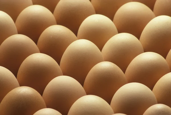 Country brown eggs lined up — Stock Photo, Image