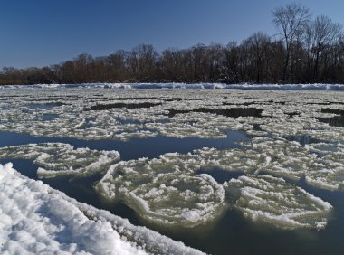 Don Nehri