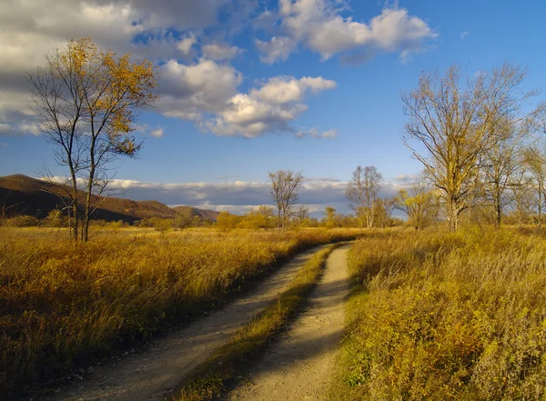 Осенний пейзаж с облачным небом — стоковое фото
