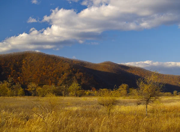Herbstlandschaft mit bewölktem Himmel — Stockfoto