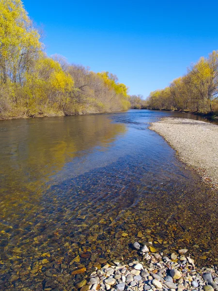 Otoño día cálido en la orilla del río — Foto de Stock