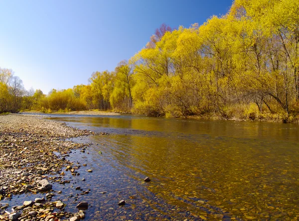 Herfst warme dag op de rivier bank — Stockfoto