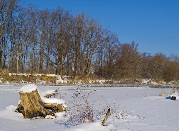 På bredden av Winter River – stockfoto
