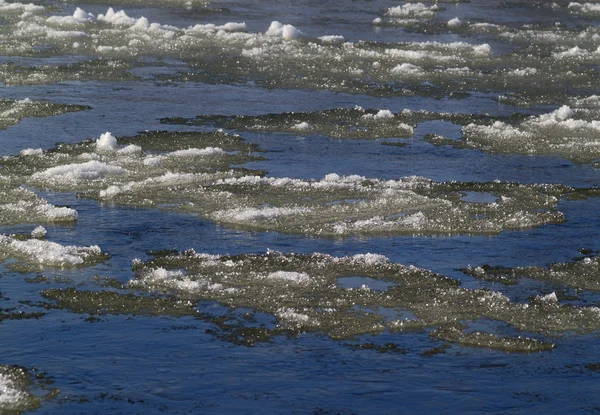 Eis schwimmt auf Fluss — Stockfoto
