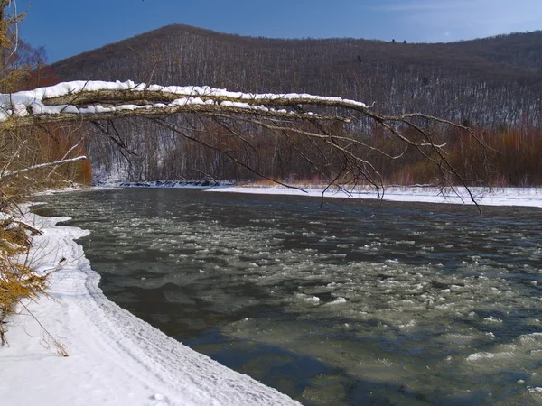 Eis schwimmt auf dem Fluss — Stockfoto