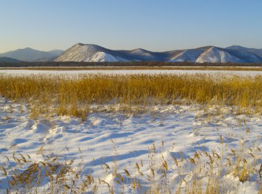 Winter evening in a river Ussuri valley clipart