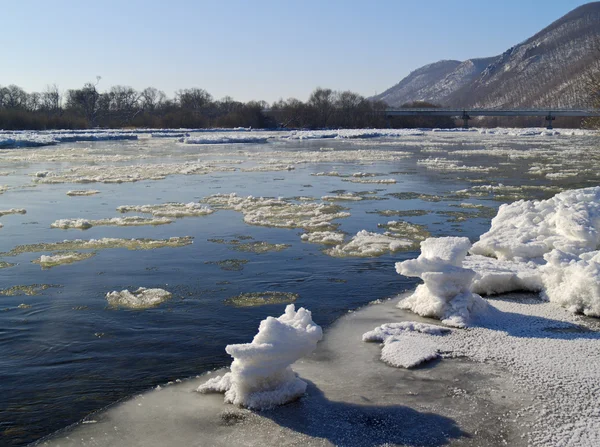 Rio Taiga no início do inverno — Fotografia de Stock