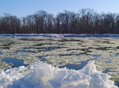 Don Nehri