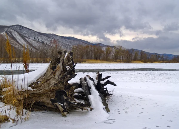En la orilla del río de invierno — Foto de Stock
