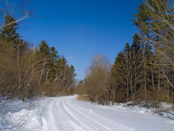 Пейзаж з зимовою дерев'яною дорогою — стокове фото