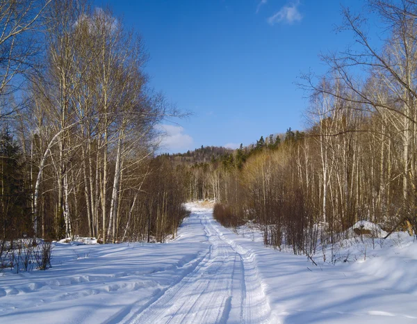 Τοπίο με ξύλο δρόμο χειμώνα — Φωτογραφία Αρχείου