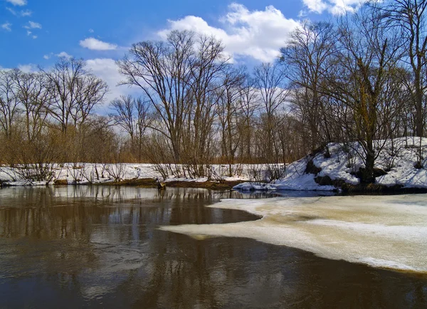 O rio de primavera — Fotografia de Stock