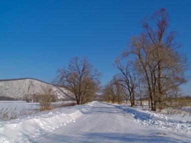 Field road in the winter clipart