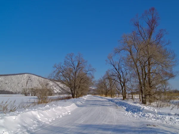 Camino de campo en el invierno —  Fotos de Stock