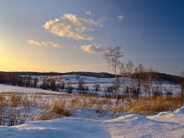 Sneeuw bedekte heuvels op een daling — Stockfoto
