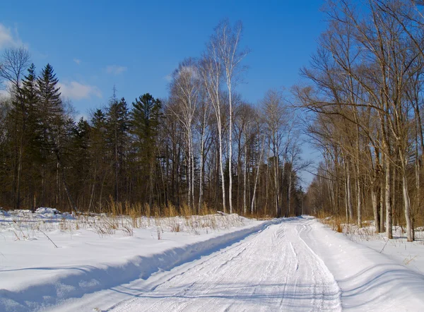 Wood road in the winter — Stock Photo, Image
