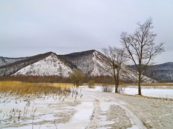Kar tarafından getirilen alan yol — Stok fotoğraf