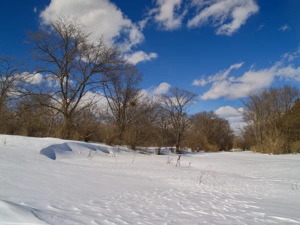 木製の空き地の冬の日 — ストック写真