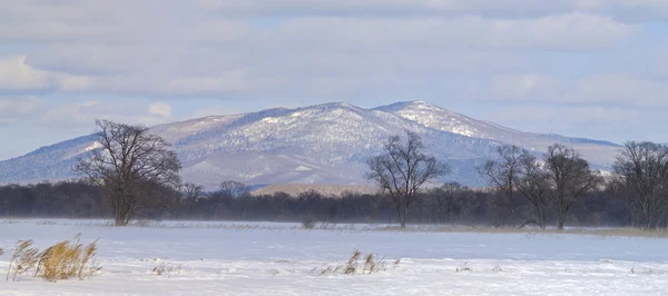 Winter panorama — Stockfoto