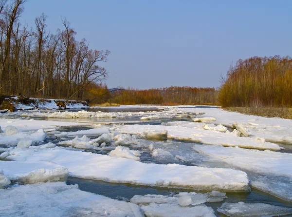 Знищений лід на весняній річці — стокове фото