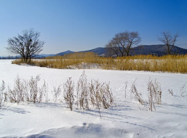 Campos cobertos de neve — Fotografia de Stock