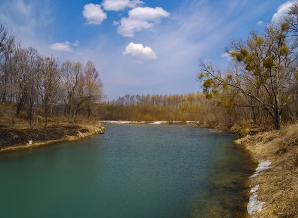 Landschap met de lente rivier — Stockfoto