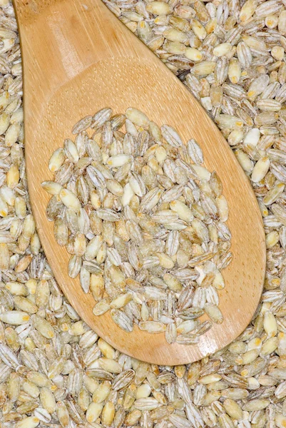 Wooden spoon with uncooked pearl barley — Stock Photo, Image