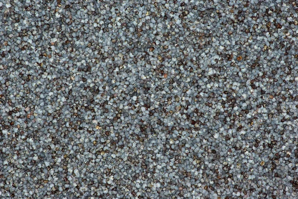 Poppy seeds close-up — Stock Photo, Image