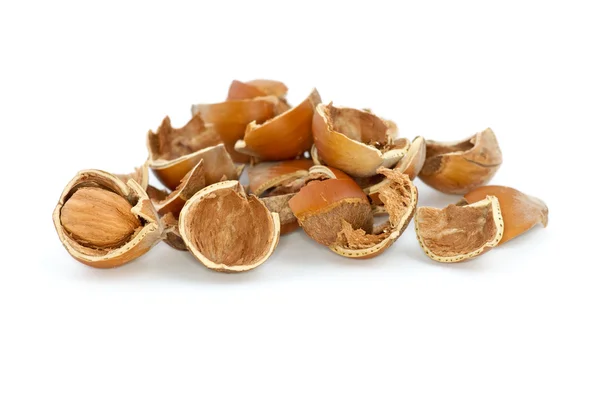 Malé hromadu skořápky lískových ořechů — Stock fotografie