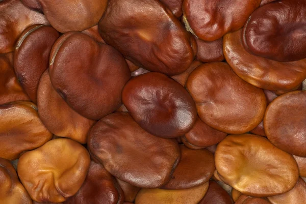 Beans background — Stock Photo, Image