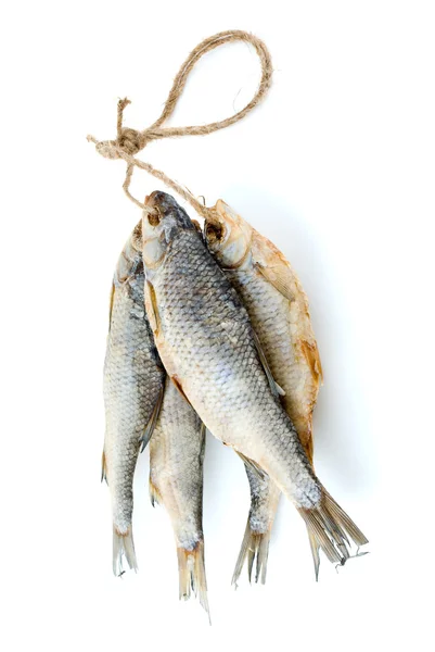 Cinco peixes de baratas marinhas secas na corda — Fotografia de Stock