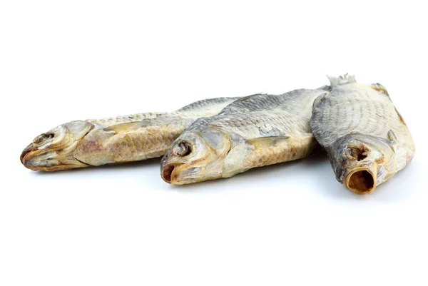 Three sea roach fishes — Stock Photo, Image