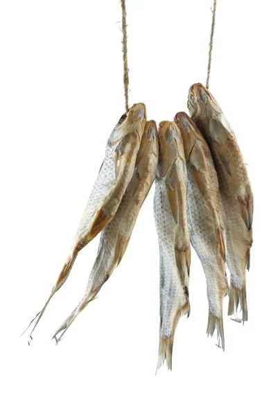Five dried sea roach fishes on the rope — Stock Photo, Image