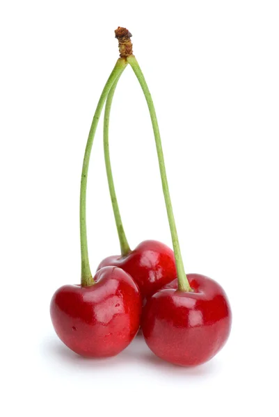 Tres cerezas rojas maduras — Foto de Stock