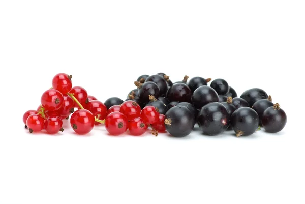 Svarta vinbär och röda vinbär bär — Stockfoto